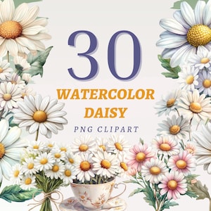 30 cliparts marguerite aquarelle printemps imprimé floral lot de fleurs blanches Invitation élément déco bouquet de marguerites décoration téléchargement immédiat