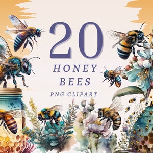 20 Honey Bees Clipart, High Quality Transparent PNGs with Instant Download, Commercial Use - Unique Art for Crafters & Designers