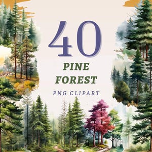 40 Pine Forest Clipart, High Quality Transparent PNGs, Instant Download, Commercial Use - Woodland Trees printables, Nature Landscapes