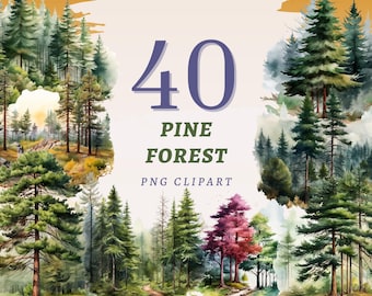 40 imágenes prediseñadas de bosque de pinos, PNG transparentes de alta calidad, descarga instantánea, uso comercial - Imprimibles de árboles de bosque, paisajes naturales