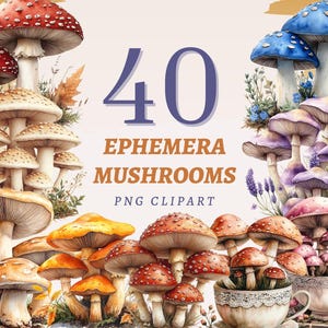 40 imágenes prediseñadas de hongos efímeros, kit de diario de otoño, ilustraciones de hongos gigantes, conjunto de imágenes de hongos imprimibles, imágenes digitales de bosques de fantasía PNG