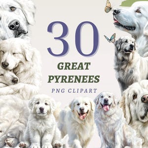 30 Pyrenäen Clipart, hochwertige transparente PNGs, sofortiger Download, kommerzielle Nutzung - Riesen Schäferhund Printables, Sennenhund Designs
