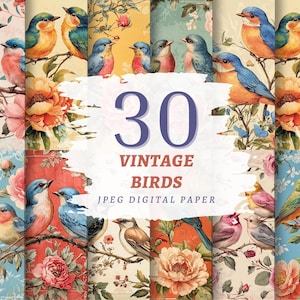 papier numérique vintage oiseaux, pages nature florale, fichiers JPG de haute qualité, téléchargement immédiat, usage commercial, oiseaux sur une branche imprimables