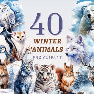 40 cliparts animaux d'hiver, PNG transparents de haute qualité, téléchargement immédiat, usage commercial - imprimable animal des neiges, harfang des neiges png, renard arctique