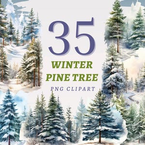 35 winter dennenboom clipart, hoge kwaliteit transparante png's, instant download, commercieel gebruik - afdrukbare bos bomen, boslandschappen