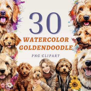 30 clipart de Goldendoodle, PNGs transparentes de alta qualidade, download instantâneo, uso comercial - imprimíveis adoráveis de Doodledogs, design de cães fofos