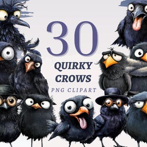 30 Quirky Crows Clipart, Wysokiej Jakości Przezroczyste PNG, Natychmiastowe Pobieranie, Wykorzystanie Komercyjne - Zabawny projekt Ravens, Zestaw Ilustracji Czarnych Ptaków