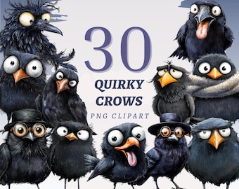 30 imágenes prediseñadas de cuervos originales, PNG transparentes de alta calidad, descarga instantánea, uso comercial - Diseño divertido de cuervos, conjunto de ilustraciones de aves negras