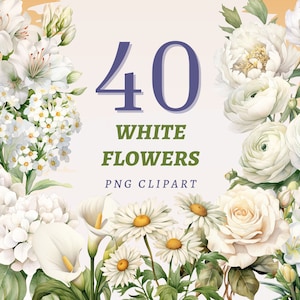 40 weiße Blumen Clipart, hochwertige transparente PNGs, Sofort Download, kommerzielle Nutzung - Florals Vorlage Drucke, Hochzeit Blumen Grafiken