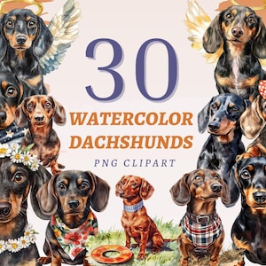 30 cliparts aquarelle teckel chien PNG Illustrations pour les amoureux des animaux de compagnie artisanat bricolage chien fête d'anniversaire décoration de chambre d'enfant téléchargement immédiat impression