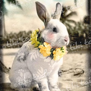 May include: A white rabbit with a floral lei sits on sand. The rabbit has pink cheeks and a floral pattern on its fur. The background features a blurred beach scene with palm trees.