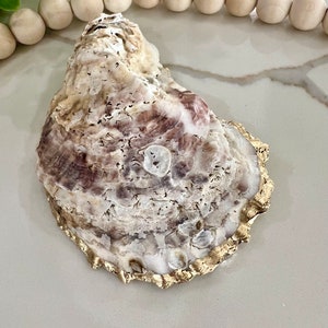 May include: A large, white oyster shell with a gold-painted edge. The shell has a natural, organic texture and a subtle purple hue.