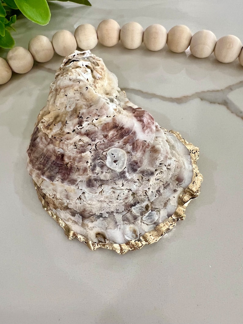 May include: A large, white oyster shell with a gold-painted edge. The shell has a natural, organic texture and a subtle purple hue.