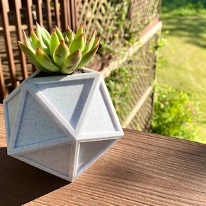 D20 Planter STL Print File with Drainage | 3D Printing | 3D Gift | Succulent | Dice | Dungeons and Dragons