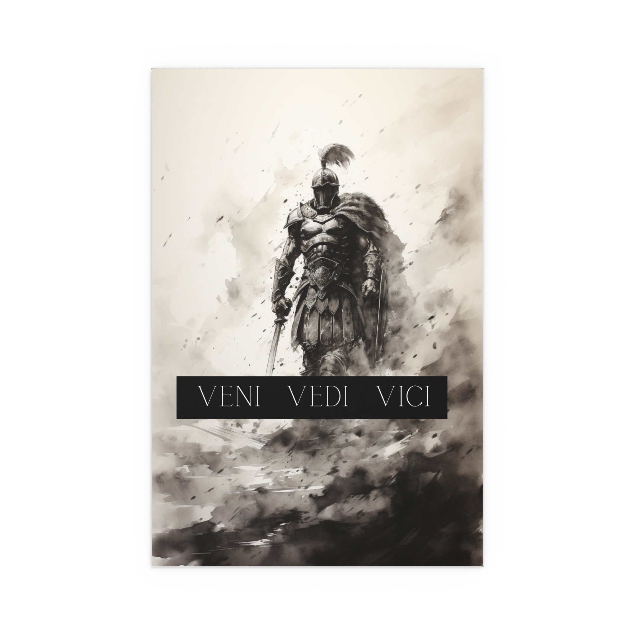 Veni vidi vici latin quote poster translation i Vector Image