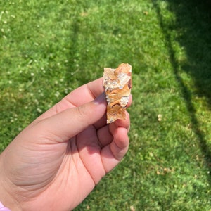 Regenbogen Feuerstein Kristalle | Roher Naturstein mit Kristalleinschlüssen | Authentische Flint Ridge Ohio | Edelstein und Mineralien Sammlerstück