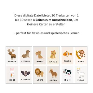 50 Animal Flashcards Preschool – Flashcards for Children in German | Montessori Materials | Fruit Flashcards German | PDF Digital image 4