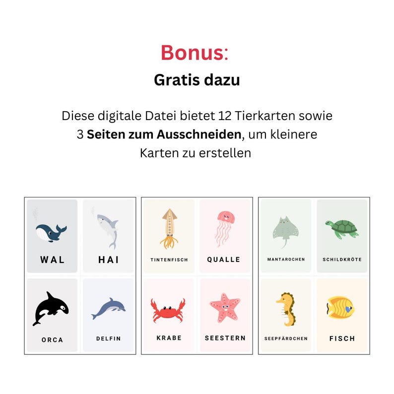 50 Animal Flashcards Preschool – Flashcards for Children in German | Montessori Materials | Fruit Flashcards German | PDF Digital image 7