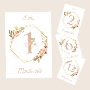 Cartes d'étapes Bébé 12 cartes mensuelles Mon premier cadeau d'année pour la naissance numérique