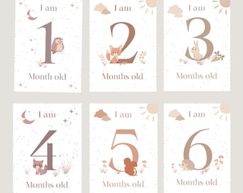 Biglietti Milestone 12 biglietti mensili per il primo anno del bambino con simpatici animali