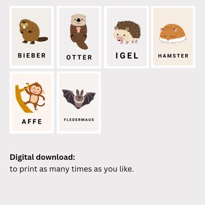 May include: A set of printable flashcards featuring illustrations of different animals, including a beaver, otter, hedgehog, hamster, monkey, and bat. Each card has the animal's name written below the illustration in German.