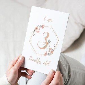 Cartes d'étape de fleurs 12 mois première année de vie avec 20 cartes numériquement