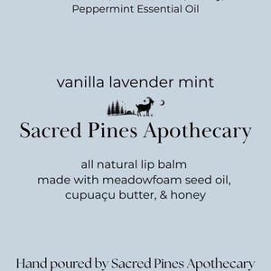 Natural Lip Balm | Moisturizing Lip Care | Eco-Friendly Beeswax Lip Balm | Plastic-Free Lip Butter | Hydrating Lip Balm for Dry Lips