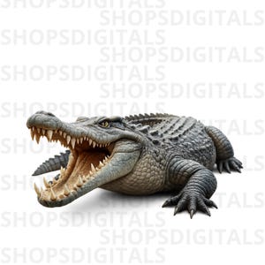 May include: A detailed sculpture of a crocodile with its mouth wide open, revealing sharp teeth. The reptile is primarily grey with textured skin and dark claws. The background is white.