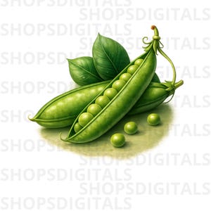 May include: A digital illustration of fresh green pea pods, one open to reveal several round peas. Two whole pods and three loose peas are also present, along with three green leaves. The image has a bright, clean aesthetic.
