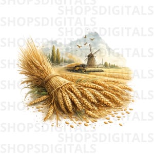 Puede incluir: Ilustración de una escena de cosecha de trigo. Un gran manojo de tallos de trigo está atado con hilo en primer plano. En el fondo, una cosechadora trabaja en un campo, con un molino de viento y pájaros en el cielo.
