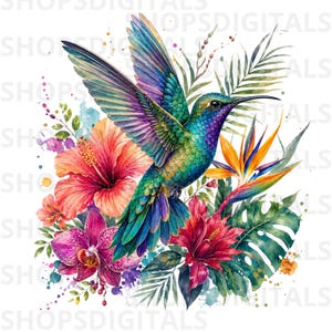 May include: A vibrant watercolor illustration of a hummingbird in flight, surrounded by tropical flowers and foliage. The bird features iridescent green, blue, and purple feathers. The flowers include hibiscus, orchids, and bird of paradise.