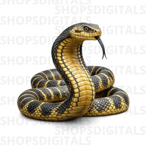 May include: A detailed illustration of a cobra snake with a yellow and black pattern. The snake is coiled, with its head raised and tongue extended. The background is white.