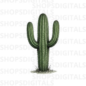 May include: A detailed illustration of a green cactus with three arms. The cactus has a textured surface with small spines and is set against a white background. The base of the cactus rests on a small patch of dirt and grass.