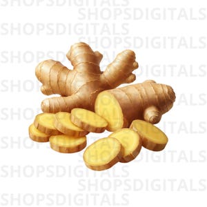 Gemberwortel PNG-clipart, verse illustratie, gezonde voeding, kookingrediënt (digitale download)