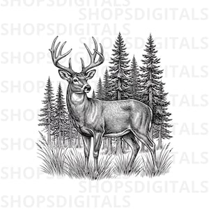 May include: A black and white line art illustration of a deer with large antlers standing in a forest of pine trees. The image features the repeating text SHOPSDIGITALS in the background. The deer is positioned in tall grass in front of the trees.