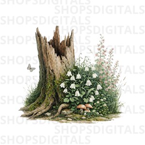Tree Stump Botanical Illustration, Woodland Nature Clipart (Digital Download)