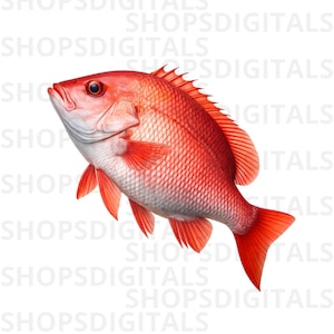 Röd snapper PNG Clipart, tropisk fisk digital nedladdning, utskrivbar havsliv