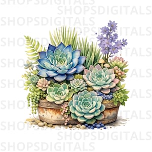 May include: Watercolor illustration of a variety of succulents in a rustic, weathered pot. The arrangement features blue, green, and pink succulents, with small purple flowers and green foliage. The image has a soft, artistic style.