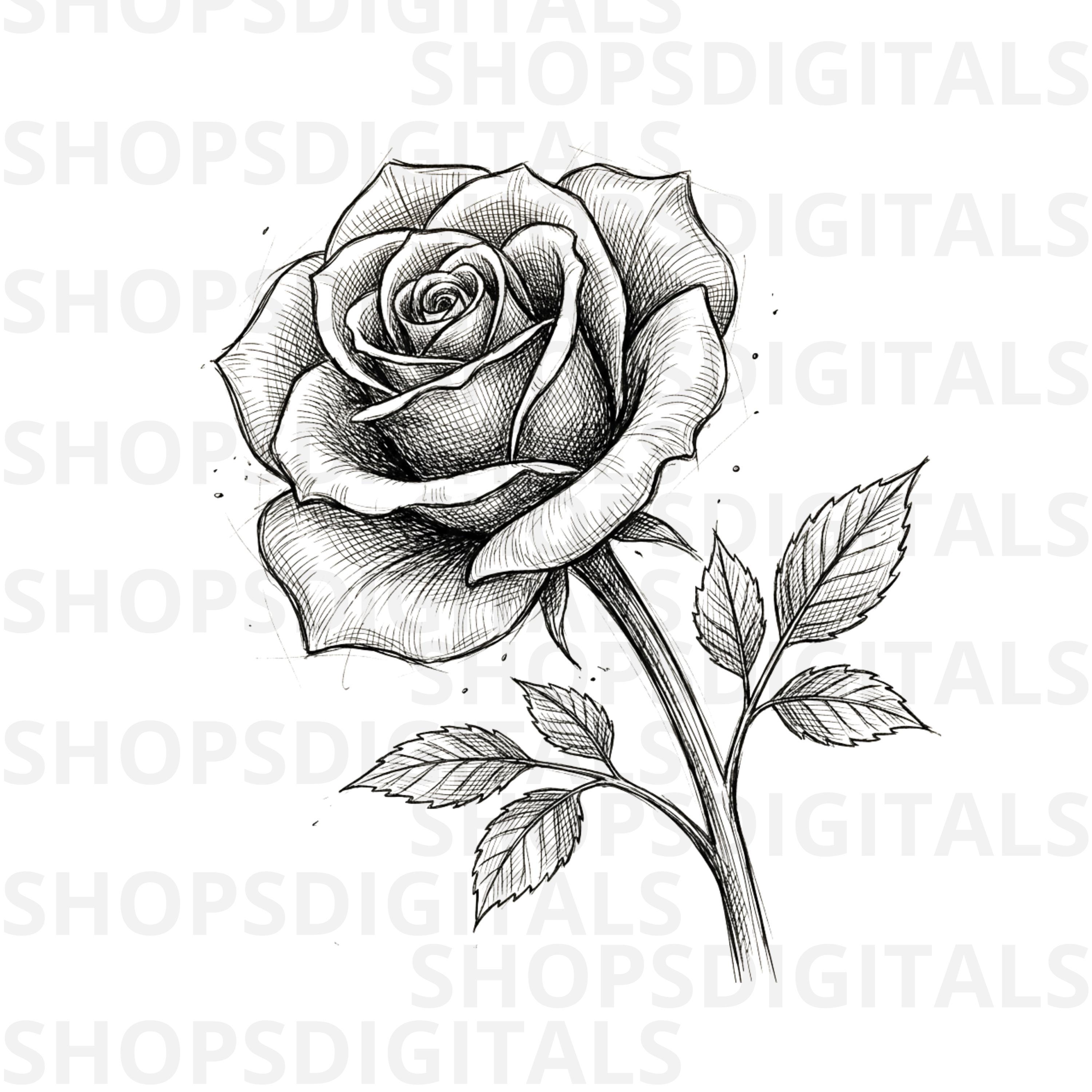 Rose Sketch PNG, Black White Floral Line Art, Botanical