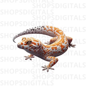 Puede incluir: Ilustración detallada de un gecko con cuerpo blanco y manchas naranjas. La cola del gecko está curvada y sus ojos están abiertos. El gecko es un reptil, sobre un fondo blanco.