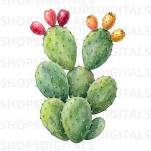 Puede incluir: Una ilustración en acuarela de un nopal con múltiples paletas verdes de forma ovalada cubiertas de pequeñas espinas afiladas. El cactus presenta varios frutos maduros en tonos de rojo, naranja y amarillo vibrantes en las paletas superiores.