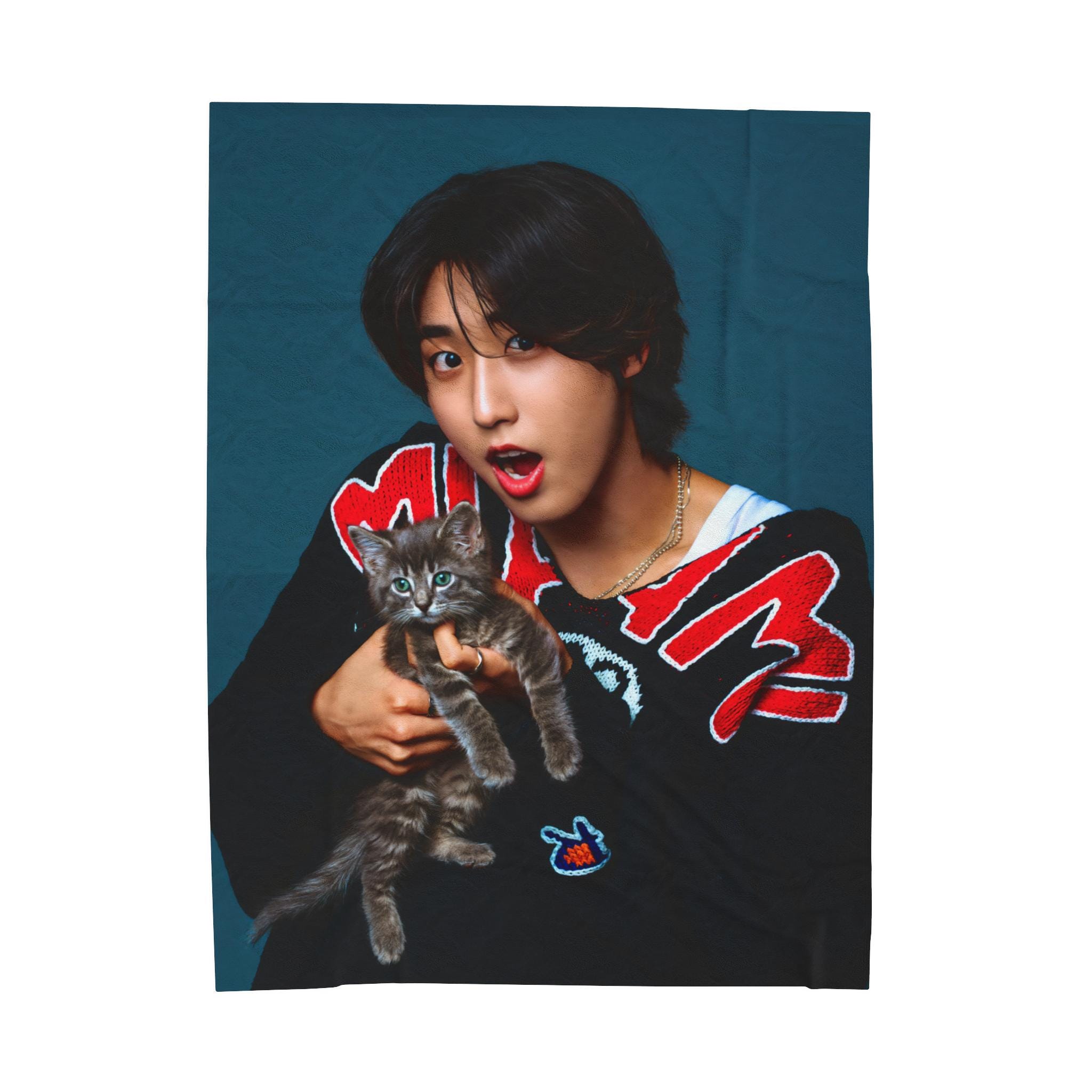 Stray Kids リービット フードブランケット stray kids スキズ リービット leebit クッション ブランケット