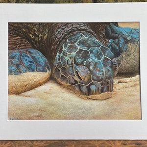 HONU 16 x 20 cali. Archiwalny wydruk giclee w oprawie.