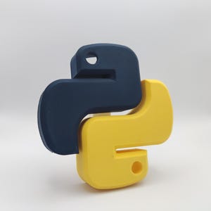 Python Sculpture (Programming)