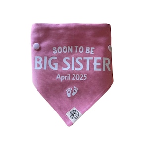 Baby Announcement - Big Sister Dog Bandana