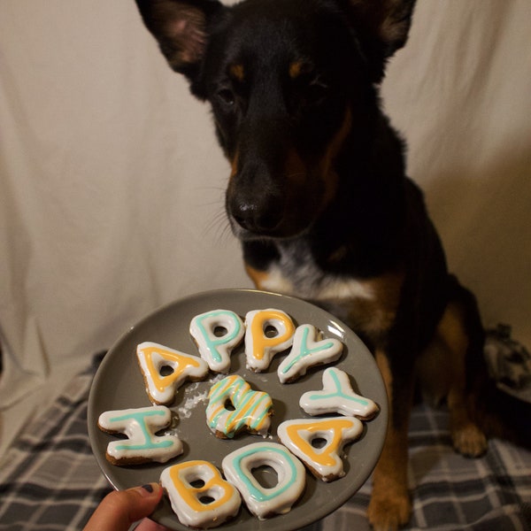 Dog Treats, Birthday Dog treats, Custom Dog Treats, Gotcha day dog Treats, Cutout Dog Treats, Frosted Dog Treats, Dog cookies, Dog Snack