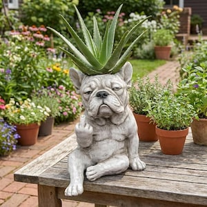 May include: A gray concrete bulldog planter with an aloe vera plant. The bulldog is seated, giving the middle finger. The planter is on a wooden table, with potted plants in the background.
