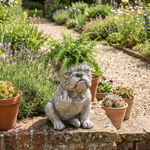 Pode incluir: Um vaso de flores de bulldog de concreto cinza com uma samambaia crescendo em sua cabeça, mostrando o dedo do meio. O vaso está em uma parede de tijolos em um jardim, cercado por plantas em vasos e um caminho de pedra.