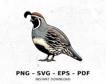 Bird Quail Gambels Wildlife SVG PNG Clipart | Sublimation Transparent Watercolor Cartoon Instant Download Elk River Prints Custom