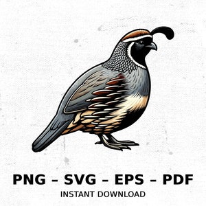 Bird Quail Gambels Wildlife Hunting SVG PNG Clipart | Sublimation Transparent Watercolor Cartoon Instant Download Elk River Prints Custom